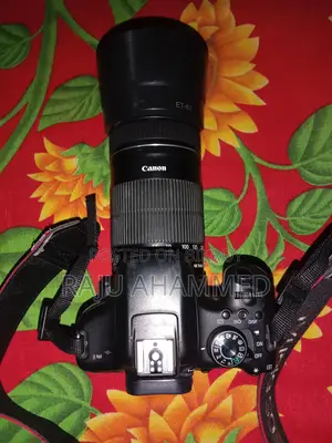 Canon 750D & 55-250 STM zoom lens....