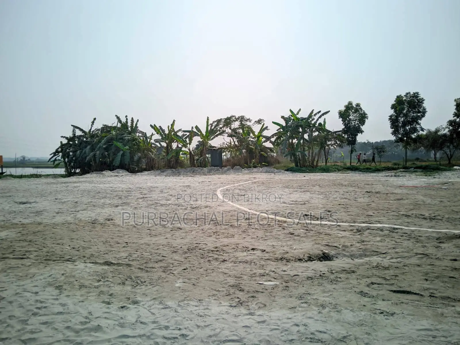 Invest Today, Build Your Future Wealth at Tulip Valley.