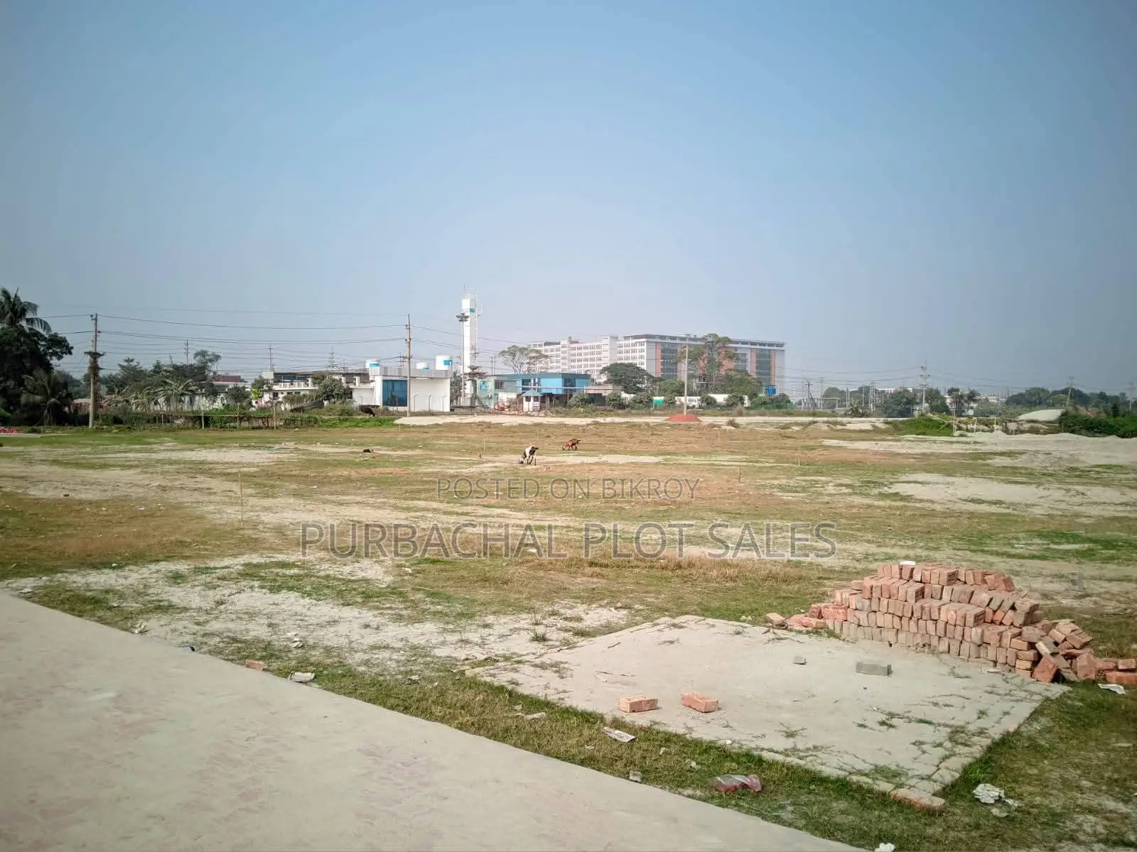Invest Today, Build Your Future Wealth at Tulip Valley.