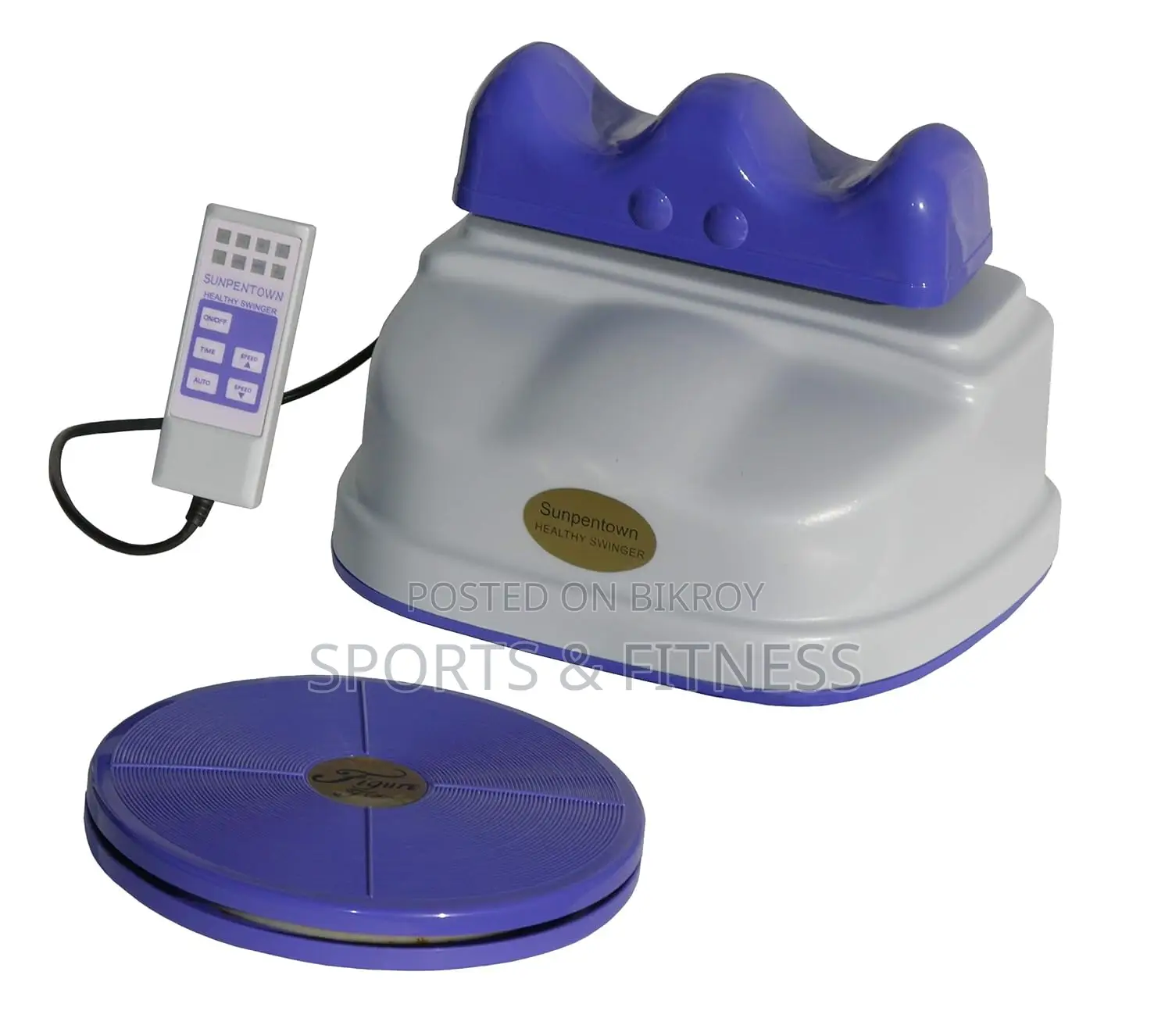 Healthy Swinger with Swival Disc