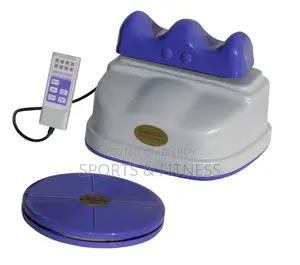 Healthy Swinger with Swival Disc