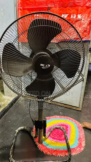 Urgent Sale: Mera Fan