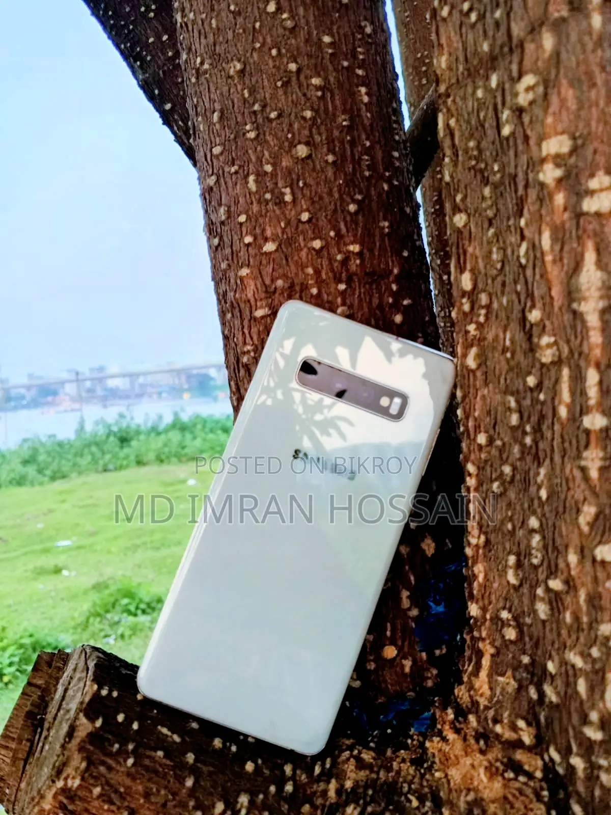 Samsung Galaxy S10 Plus (Used)