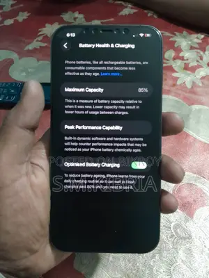 Apple iPhone 12 Pro Max (ব্যবহৃত)