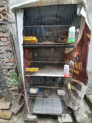 ৪ থাকের একটি লোহার খাচা ৩ টি বাজিগর পাখি সহ বিক্রি হবে