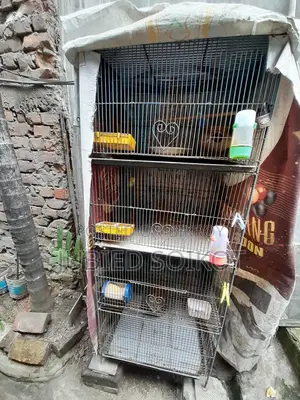 ৪ থাকের একটি লোহার খাচা ৩ টি বাজিগর পাখি সহ বিক্রি হবে
