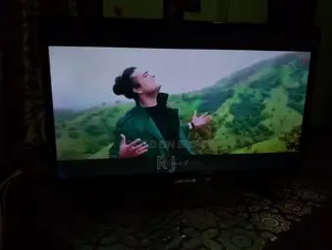 Non Smart TV 24"