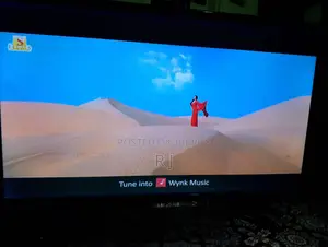 Non Smart TV 24"