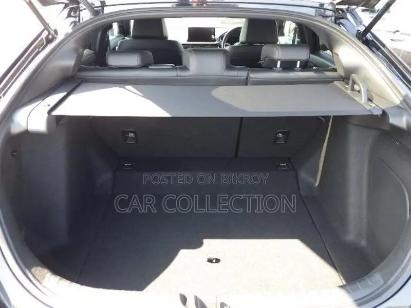 Honda Civic FL-1 Leather Black 2021