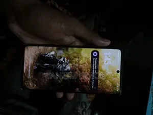 Google Pixel 6 Pro (ব্যবহৃত)