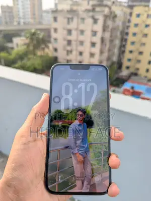 Apple iPhone 13 Pro Max (Used)