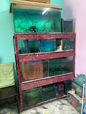 Urgent: Selling My Entire Aquarium Setup