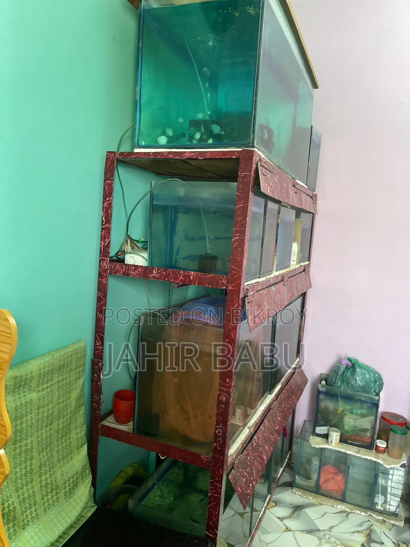 Urgent: Selling My Entire Aquarium Setup