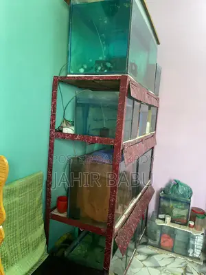 Urgent: Selling My Entire Aquarium Setup