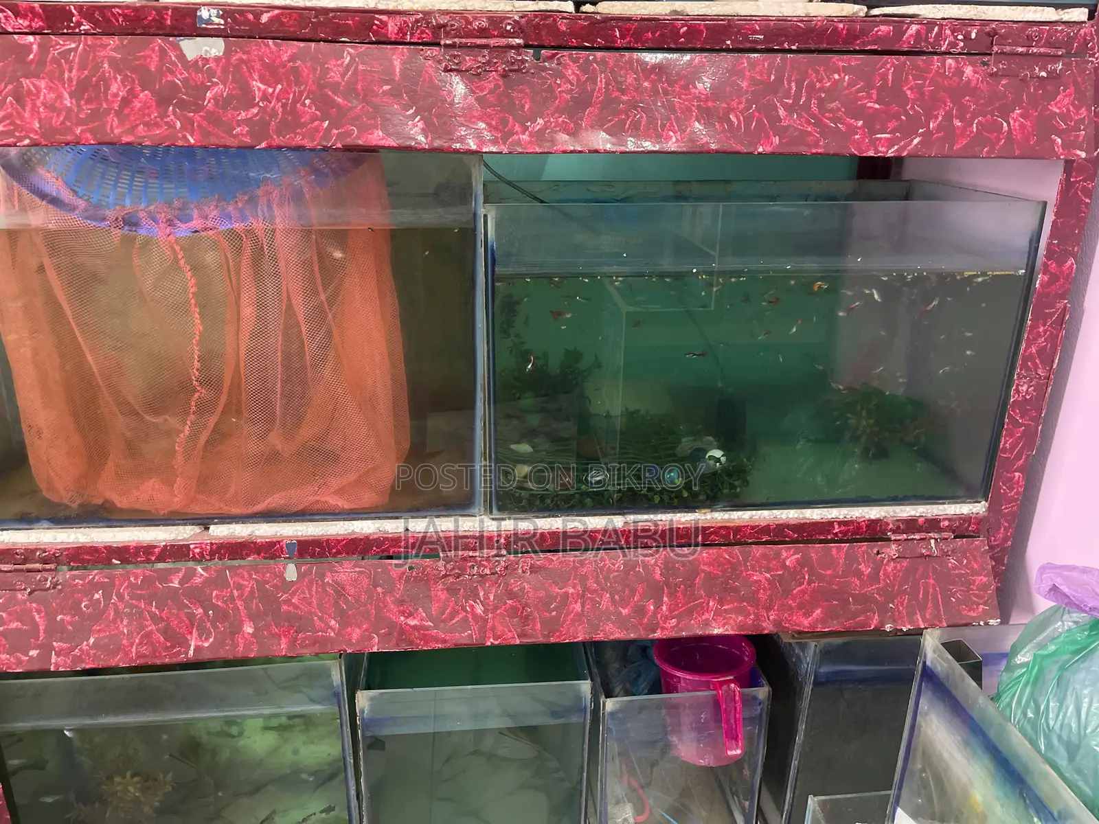 Urgent: Selling My Entire Aquarium Setup