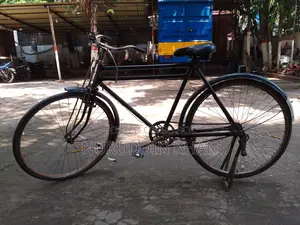 Original Phoenix Body Cycle