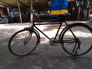 Original Phoenix Body Cycle