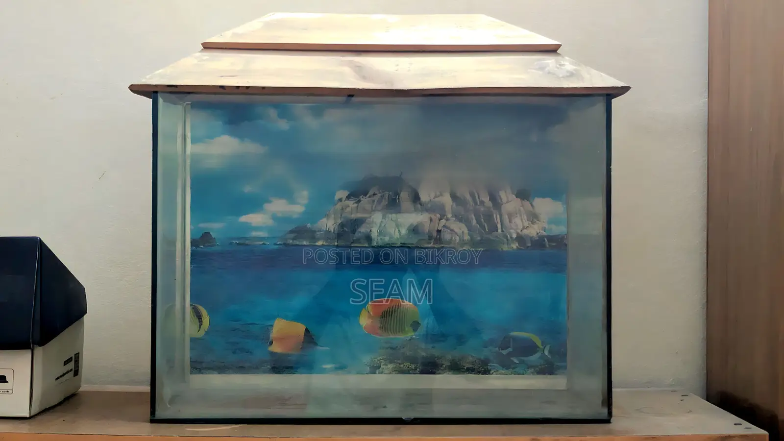 Aquarium Fish