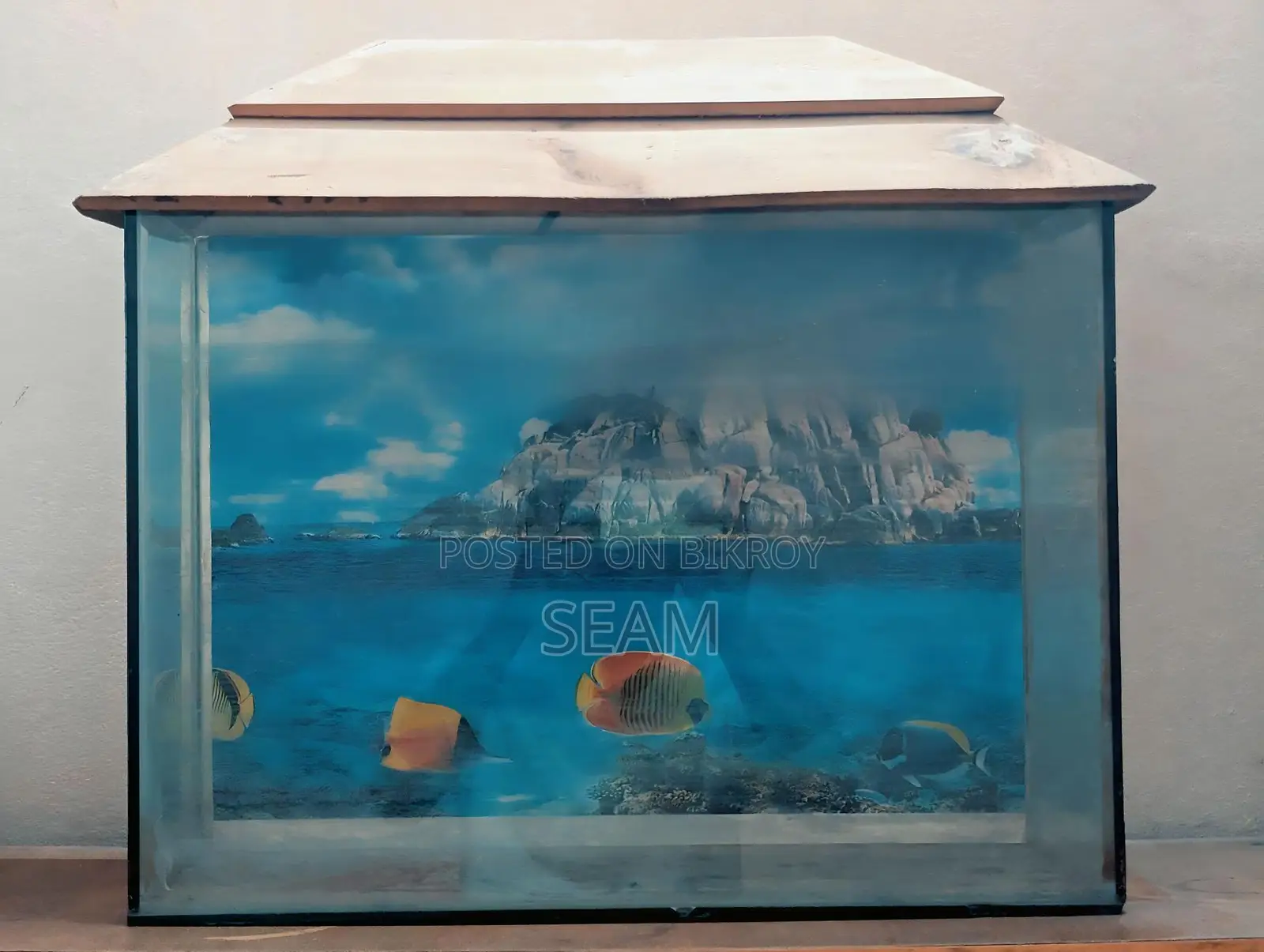 Aquarium Fish
