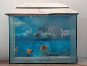 Aquarium Fish