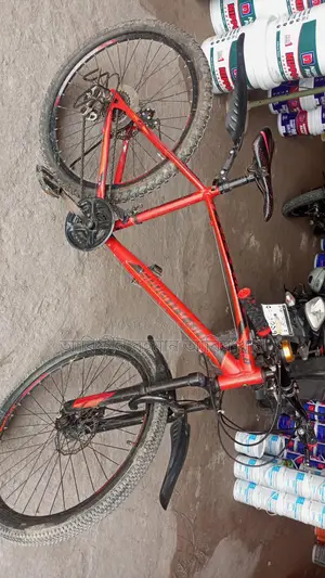Bicycle for Sale