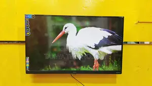 SINGER-43" Inch Smart Dolby Sound Vista TV