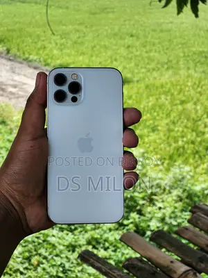 Apple iPhone 12 Pro (Used)