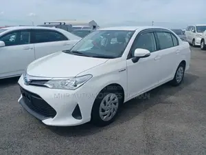 Toyota Axio EX PACKAGE 2020