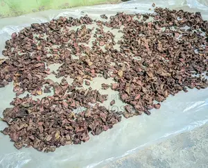 Premium Homemade Beetroot Powder