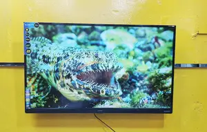 SINGER-43" Inch Smart Dolby Sound Vista TV