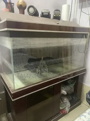 Crystal Clear Glass 9mm