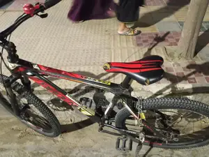 Duranta Bicycle for sale
