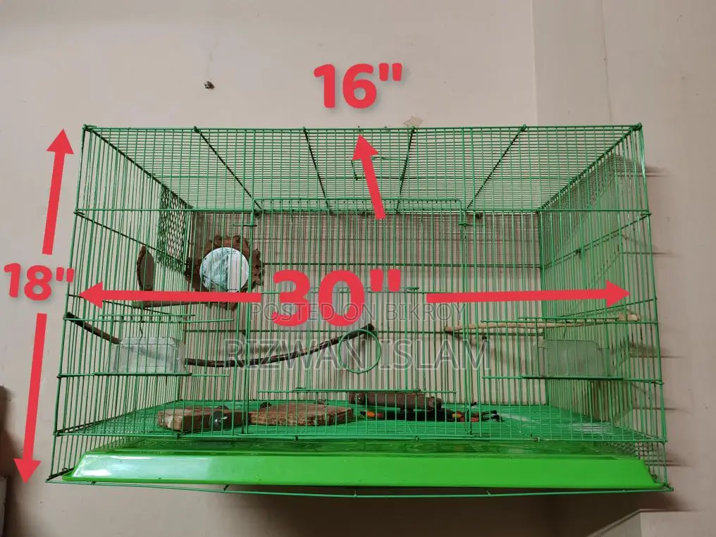 Bird Cage Chinese