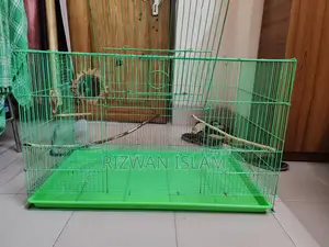 Bird Cage Chinese