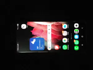 Samsung S21 Ultra Display a Small Black Spot On