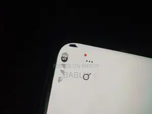 Samsung S21 Ultra Display a Small Black Spot On