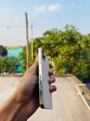 Apple iPhone 12 Pro (Used)