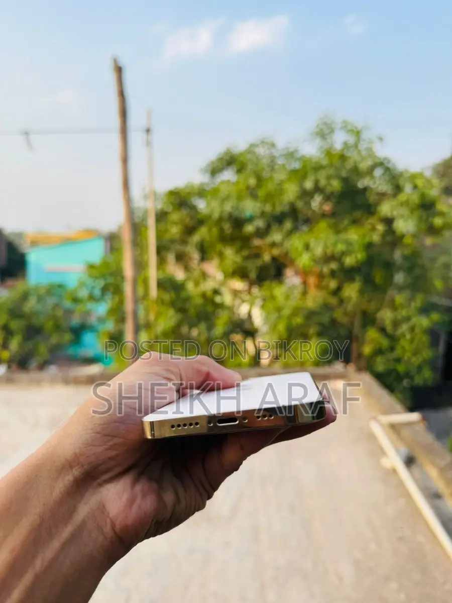 Apple iPhone 12 Pro (Used)