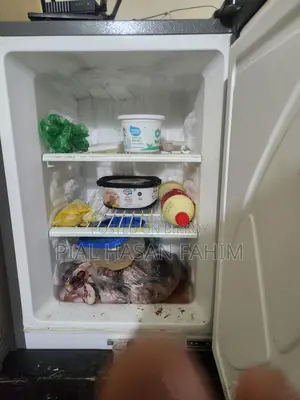 Walton WFD-1F3 Refrigerator. Bought new, 4 years running.