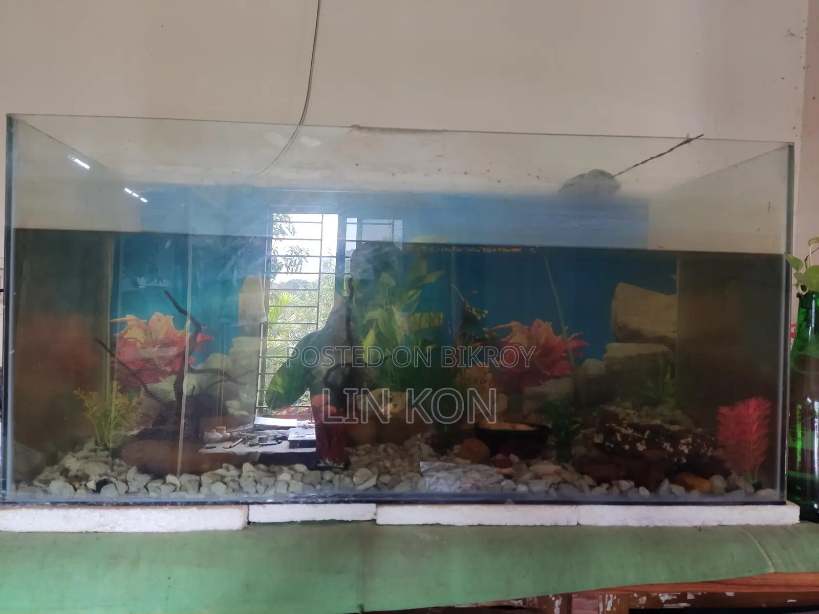 Aquarium. Fish Tank