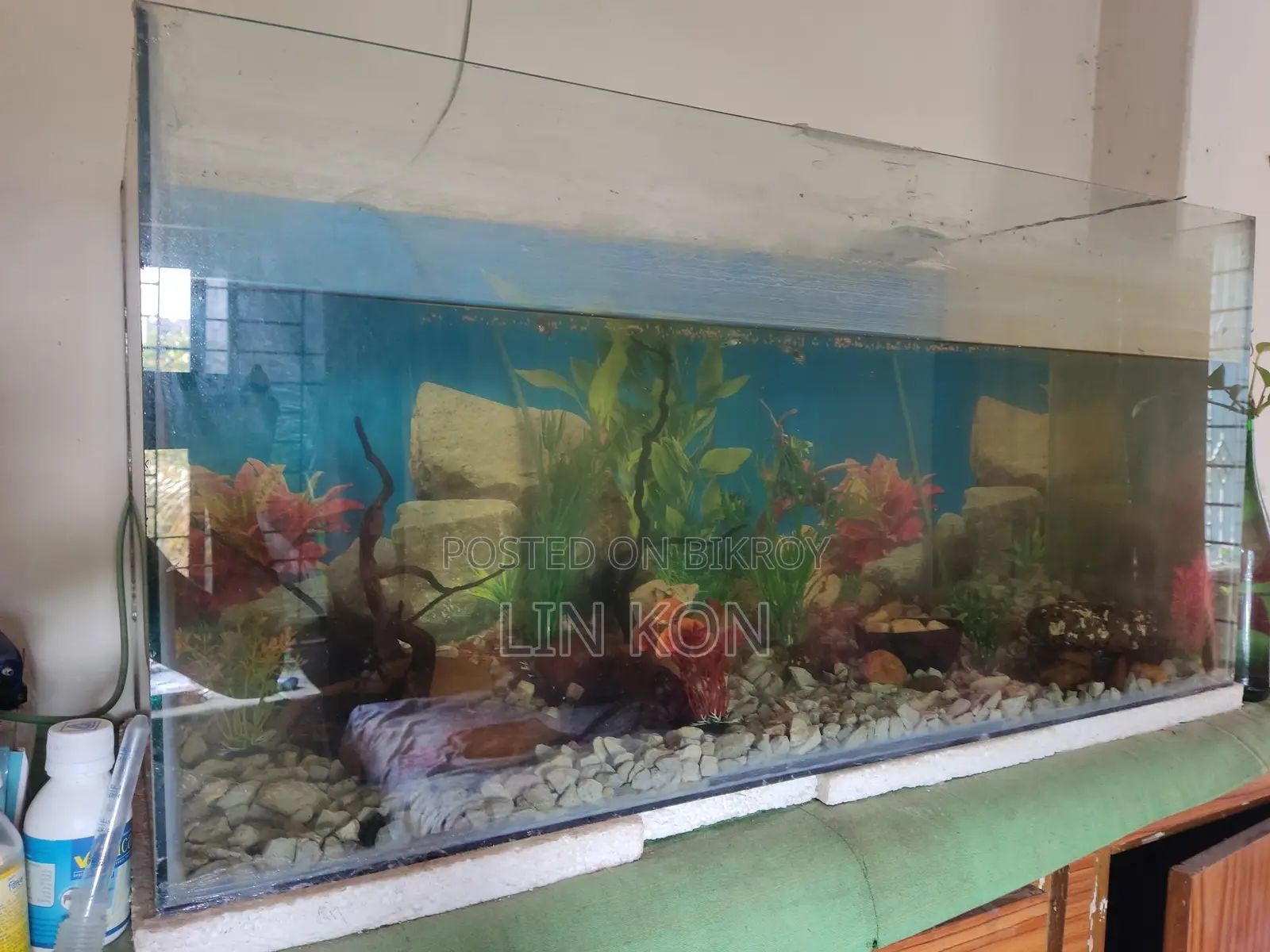 Aquarium. Fish Tank
