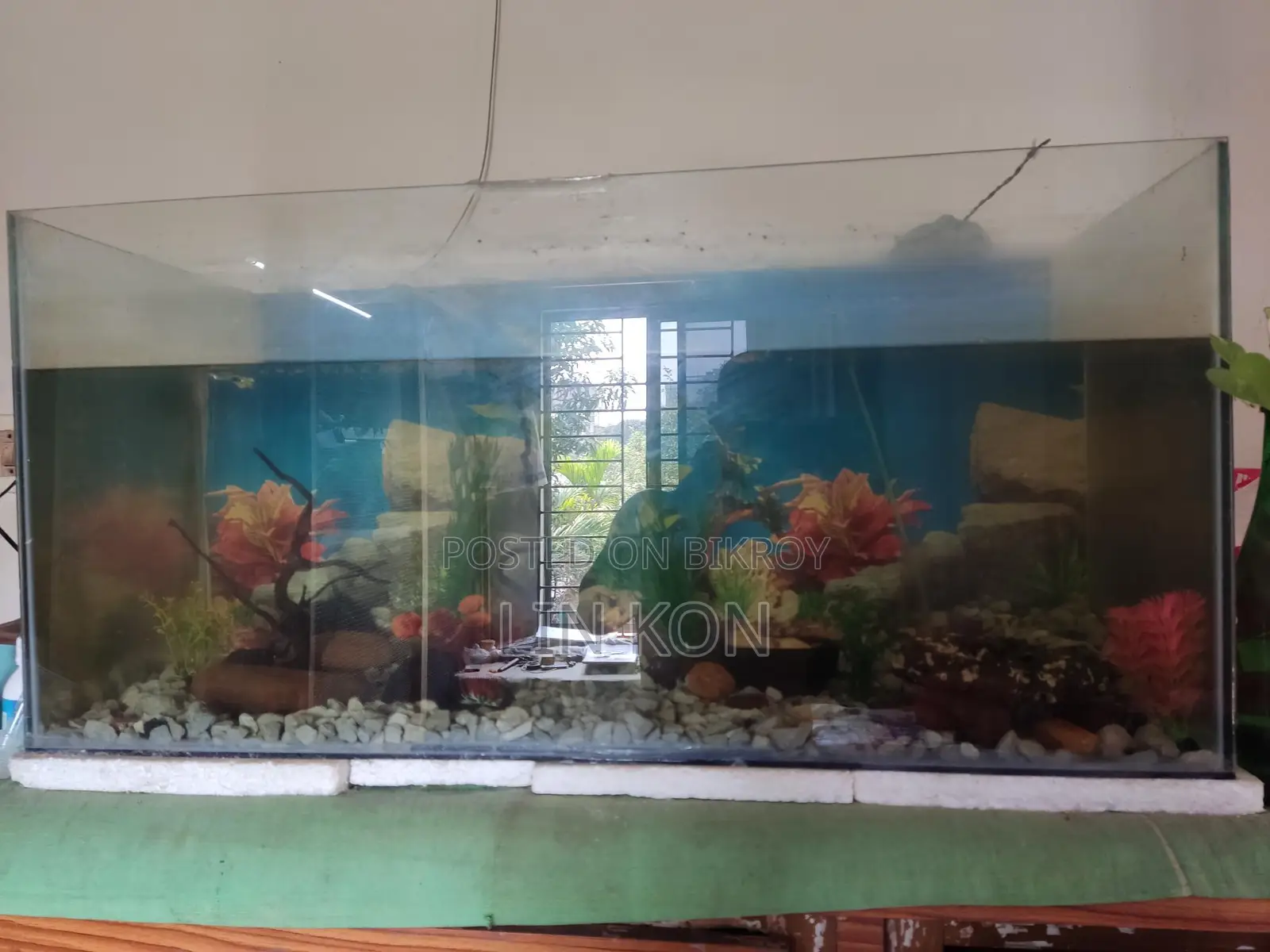 Aquarium. Fish Tank