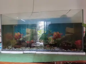 Aquarium. Fish Tank