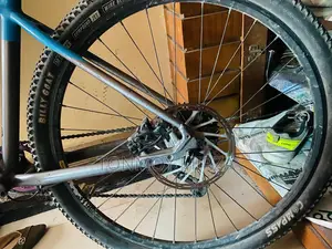 Mustang Legend 22 29-Inch Bike