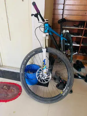 Mustang Legend 22 29-Inch Bike