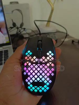 Mouse for Sale