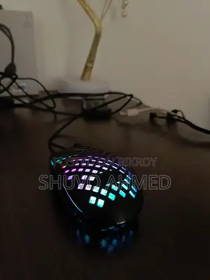 Mouse for Sale