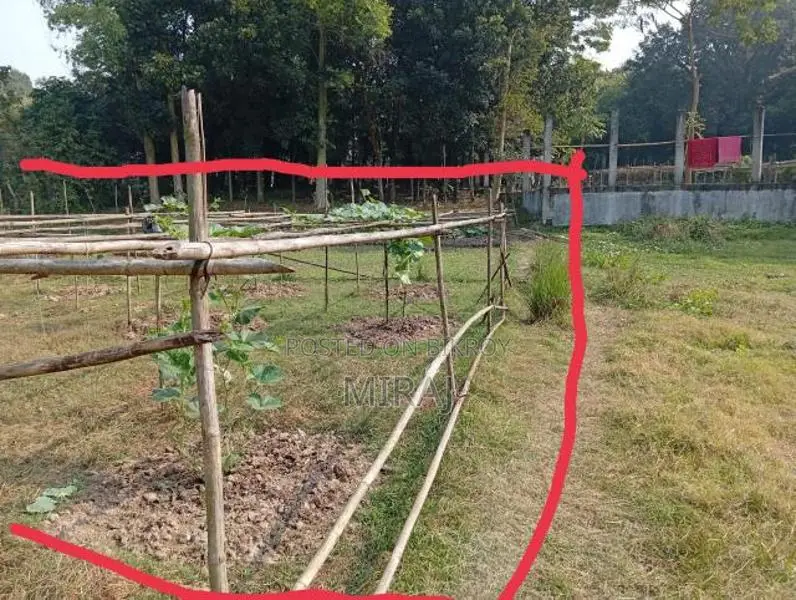 ১০ কাঠা জমি বিক্রিয় হবে। নিজস্ব জমি। কোন প্রকার ভায়া অথবা কোম্পানির নয়।