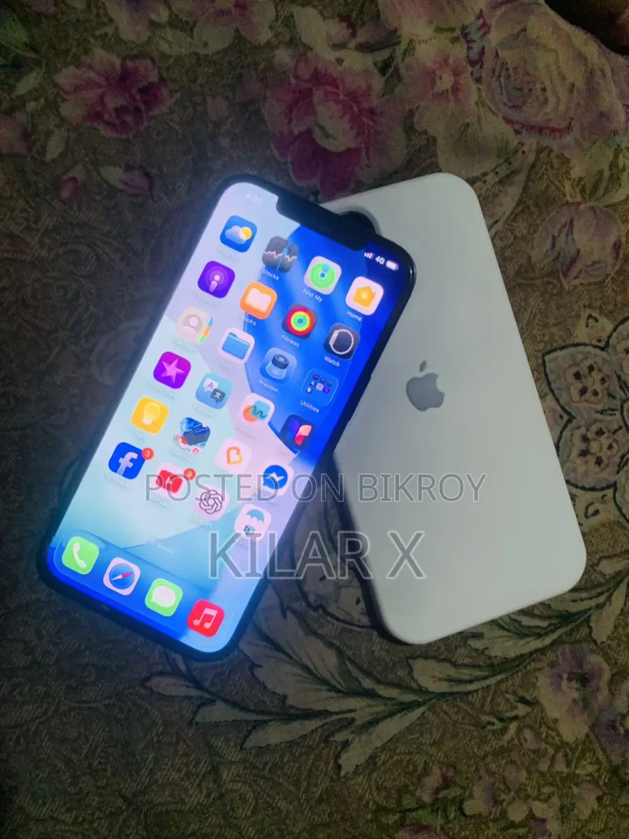 অ্যাপল আইফোন ১২ প্রো ম্যাক্স (ব্যবহৃত)