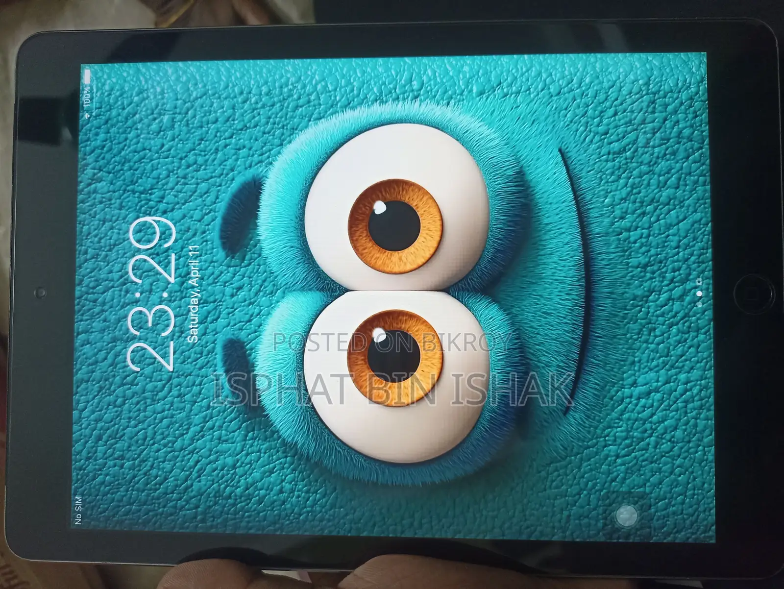 iPad Air 1
